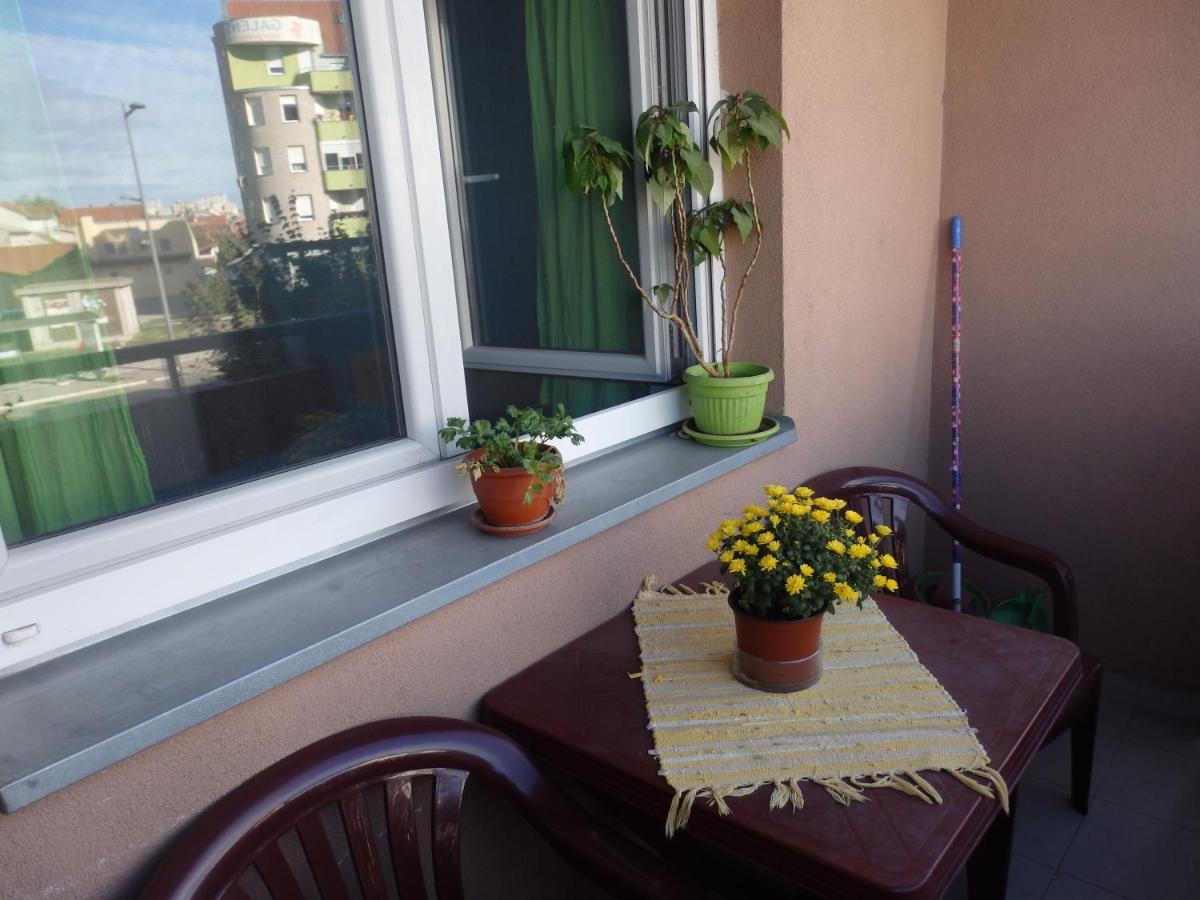 Apartment Erika 2 نوفي ساد المظهر الخارجي الصورة
