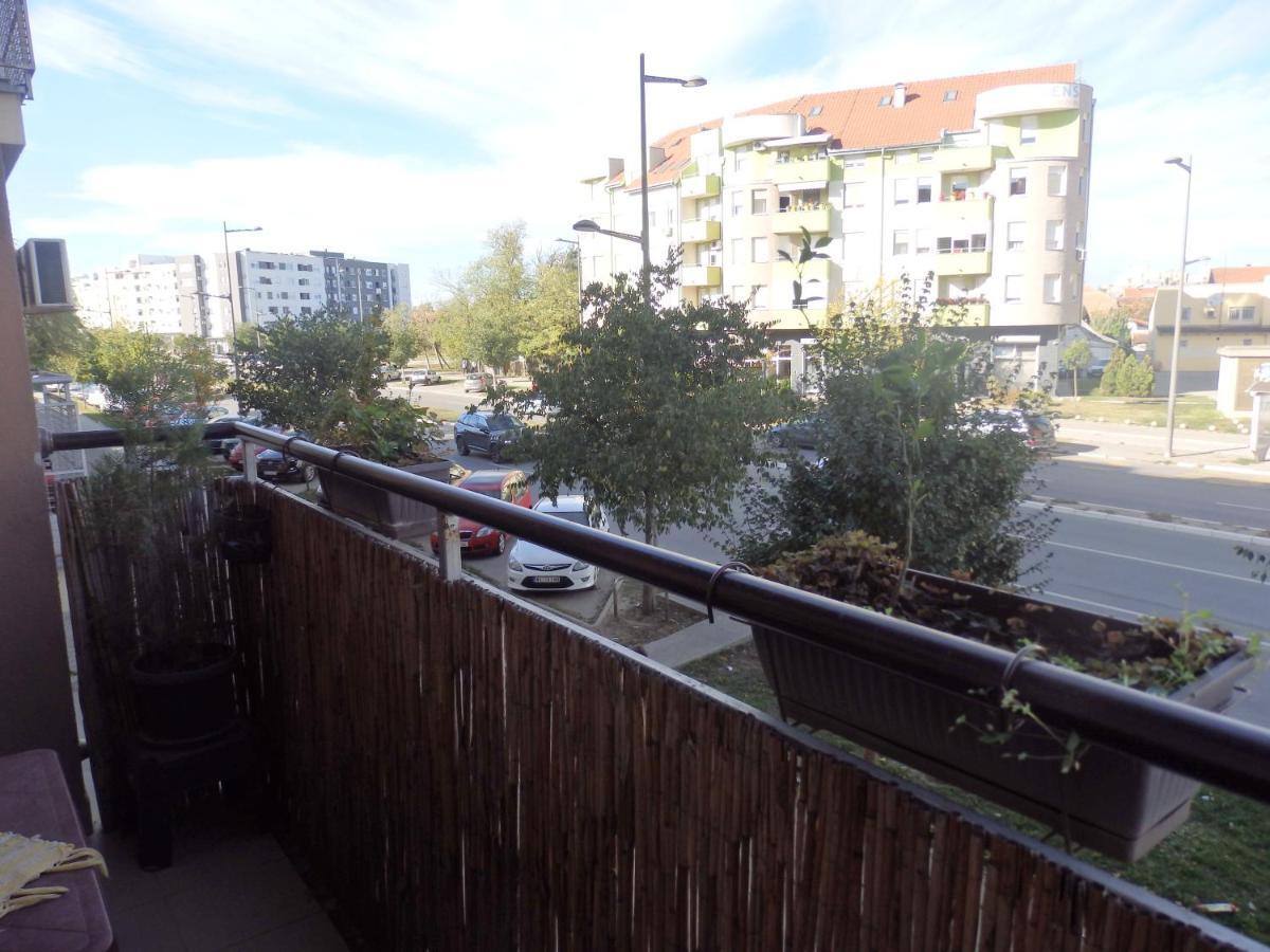Apartment Erika 2 نوفي ساد المظهر الخارجي الصورة