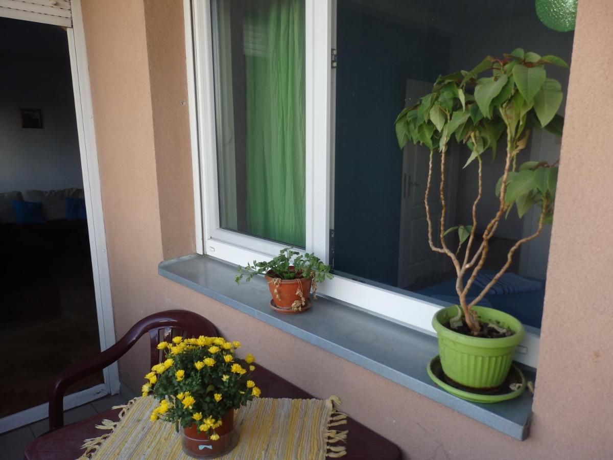 Apartment Erika 2 نوفي ساد المظهر الخارجي الصورة