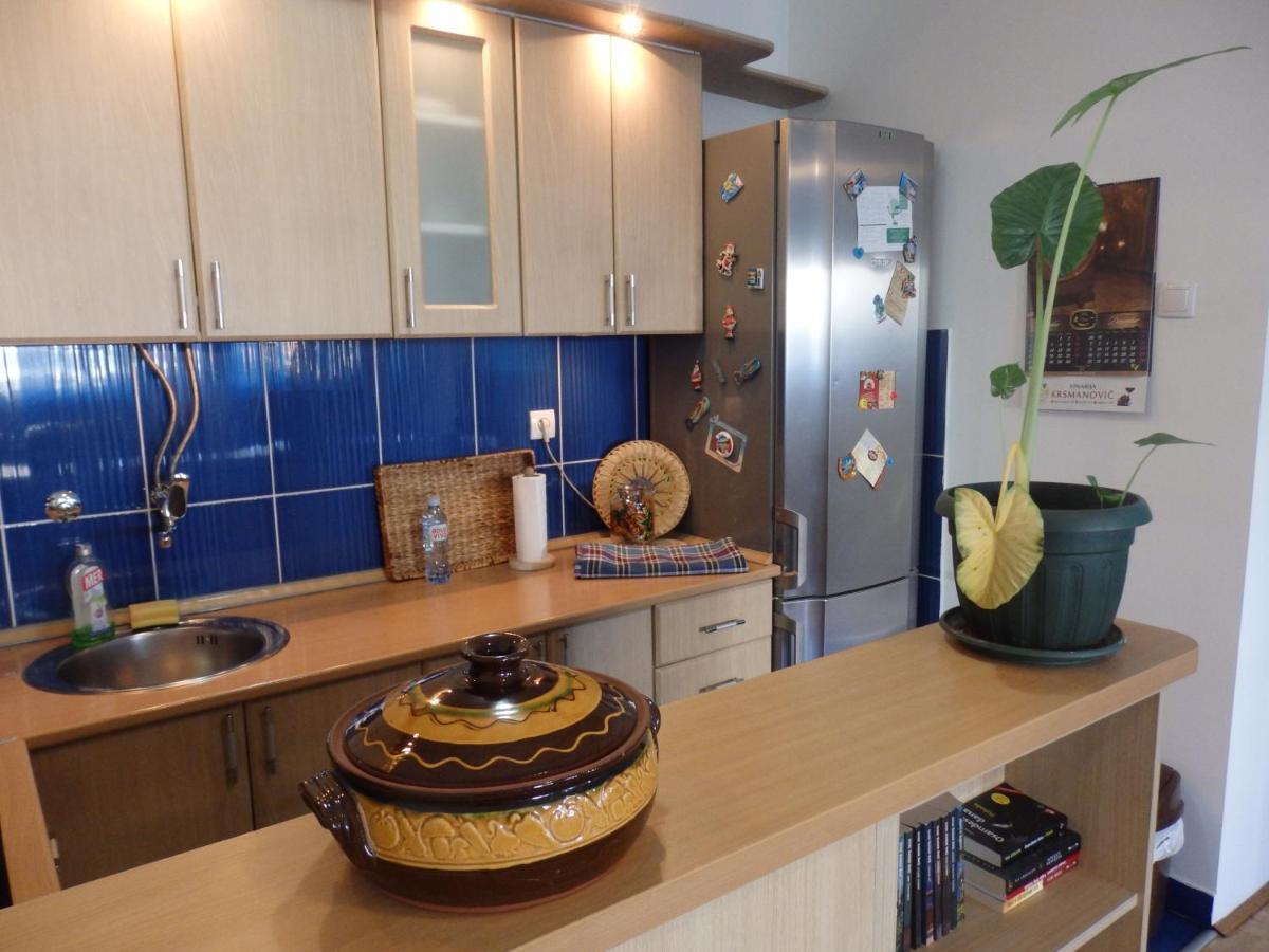 Apartment Erika 2 نوفي ساد المظهر الخارجي الصورة