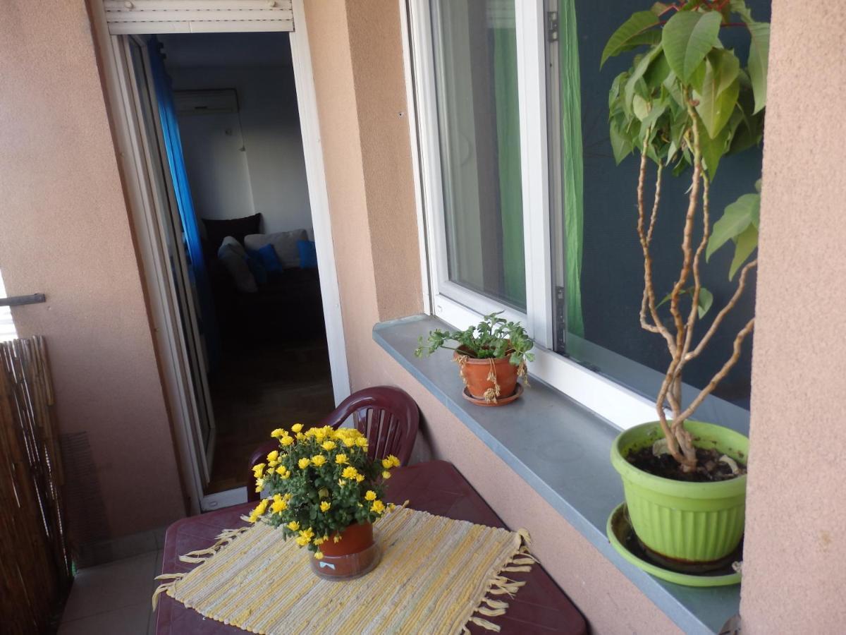 Apartment Erika 2 نوفي ساد المظهر الخارجي الصورة