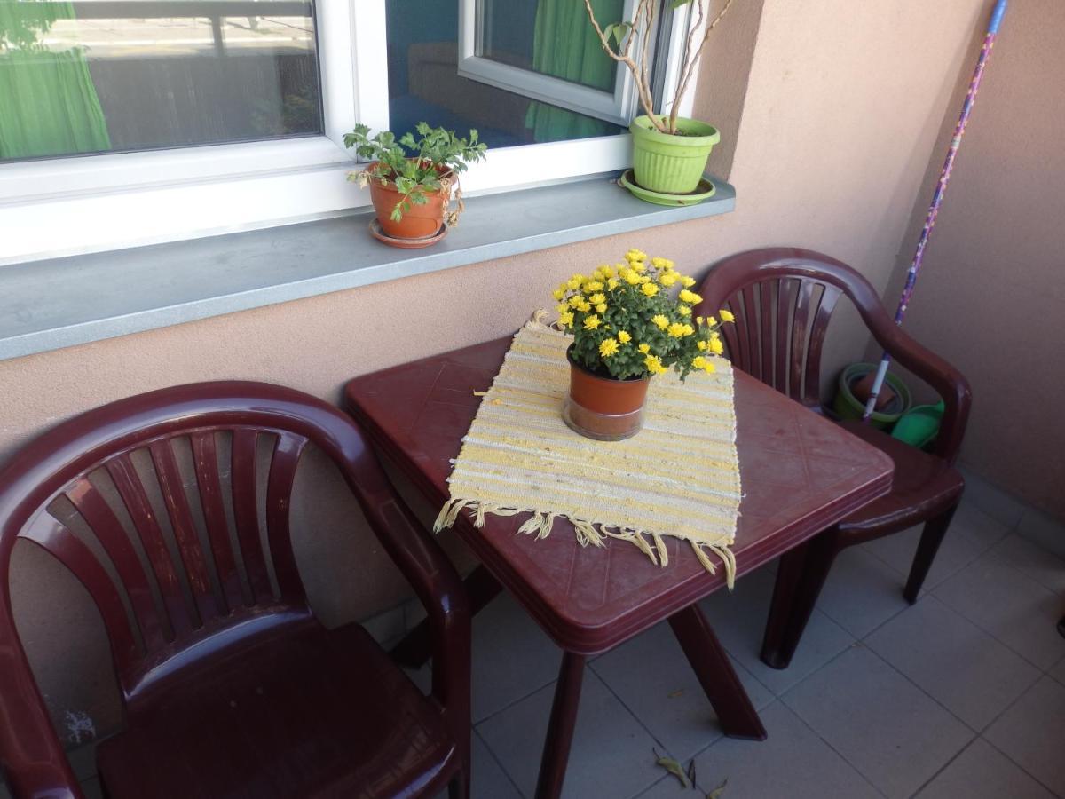 Apartment Erika 2 نوفي ساد المظهر الخارجي الصورة