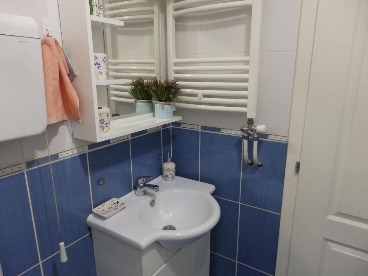 Apartment Erika 2 نوفي ساد المظهر الخارجي الصورة